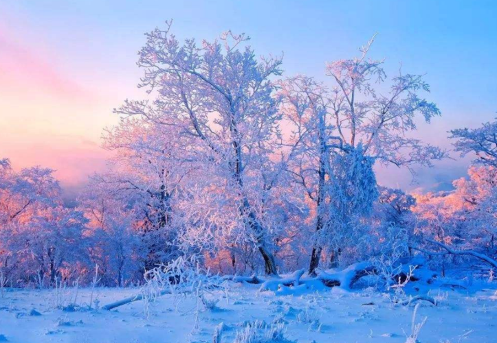 适合冬天去旅游的几个地方,昆明四季如春,吉林的雾凇