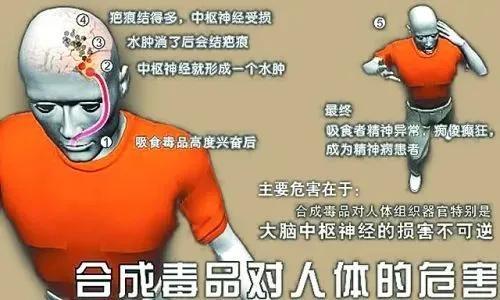 被围猎的大学生们请远离毒品愿恶之花不再绽放