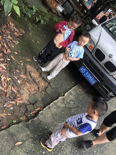 铁山坪山上,三个小朋友一起尿尿