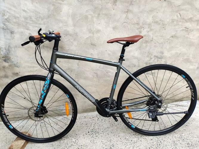 捷安特,美利达,迪卡侬,都有不错的车型. 比如捷安特 escape