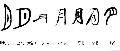 山字的甲骨文,金文,小篆,隶书,楷书,草书,行书分别是什么?