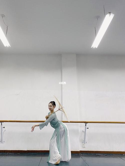 古典舞/伞舞/女子群舞_古典舞_舞蹈_舞蹈造型_娱乐_舞蹈_舞蹈其他