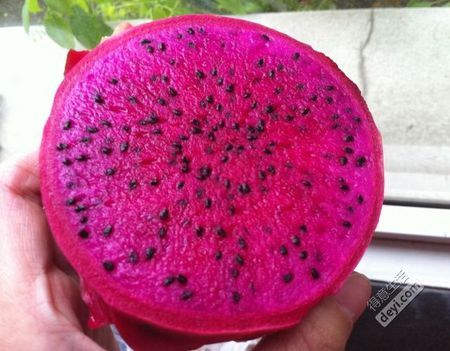 火龙果有几种颜色