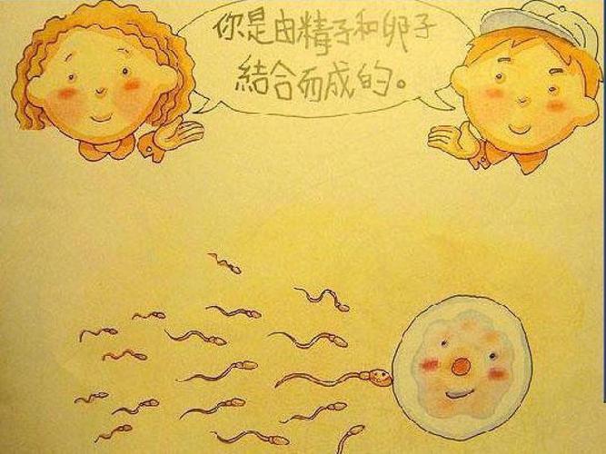 我从哪里来--小学生性教育漫画ppt