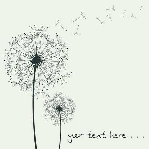 手绘蒲公英花瓣图片素材