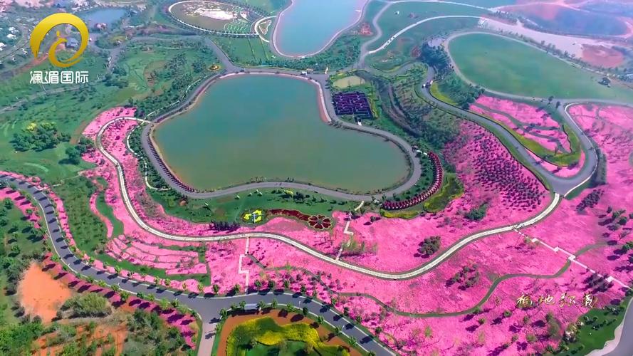 福地弥勒|太平湖:一花一木一世界
