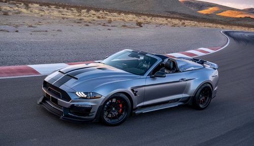 号称地狱猫杀手,新野马蝰蛇曝光,毒蛇外形,3.5秒破百