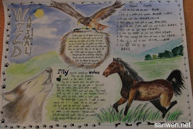 关于环保环境的英语手抄报