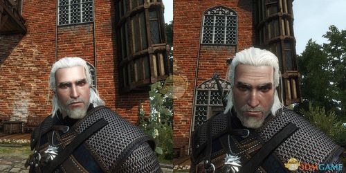 巫师3狂猎杰洛特脸部优化mod