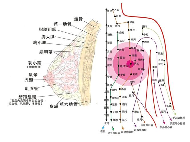 乳腺增生大多是"憋"出来的,畅通经络很关键!