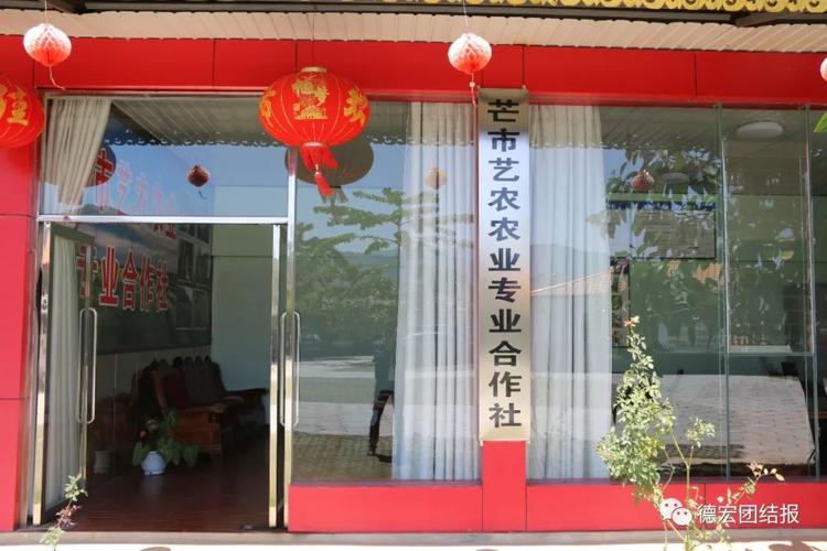 年分红百万芒市这个新型合作社火了