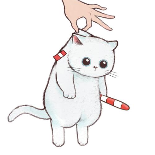 《铲屎官请自重》——拎猫头像表情系列