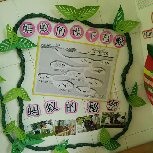 的知识?于是我们在主题墙选择了一些幼儿比较常见的昆虫蚂蚁和蜻蜓