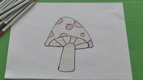 简单又好画的蘑菇手抄报 简单手抄报