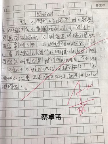 其它 综合测试卷二:捉蝴蝶 写美篇