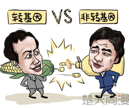 荆楚网