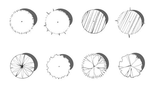 1.2多棵树木平面画法及注意事项