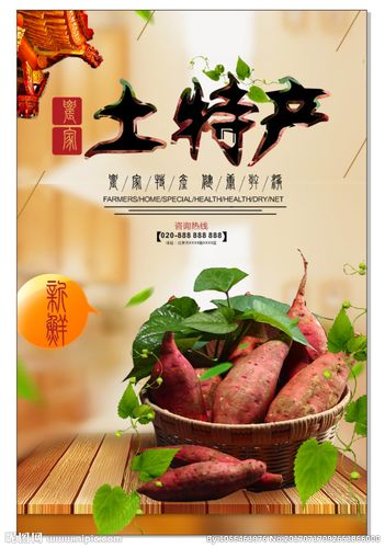 土特产设计图__海报设计_广告设计_设计图库_昵图网.