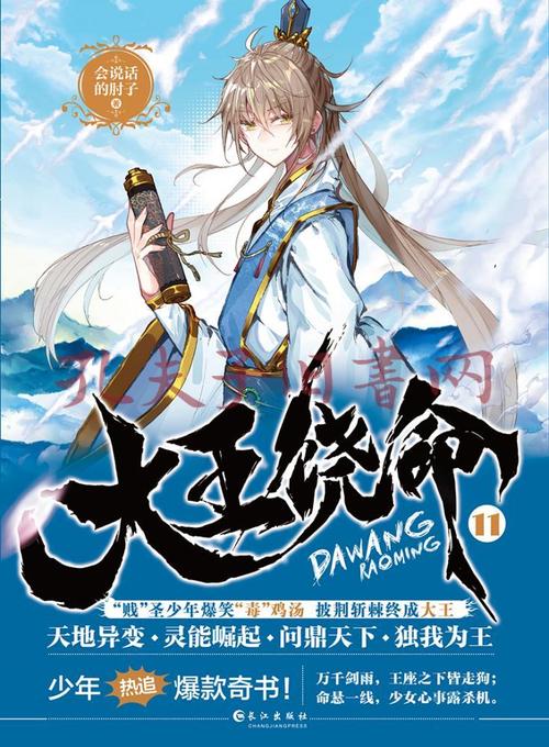 大王饶命11(孔网)