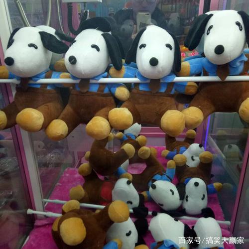 娃娃机里的小动物,你们的表情亮了!