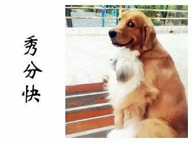 17楼 完整表达:秀恩爱,分得快.  例句:祝秀分快!