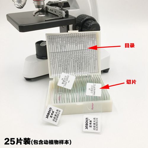 星博康snbokn生物显微镜标本切片套装载玻片盖玻片学生观测动植物人体