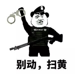 熊猫头身穿防弹衣手拿散弹枪掏出手铐:别动,扫黄