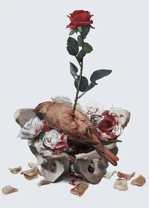 夜莺与玫瑰给成年人的童话