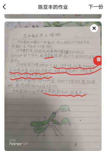 昆虫备忘录——三五班精彩作品展示
