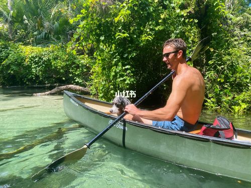 在离奥兰多市区半小时车程的地方,是kally park的下游,专门划船09