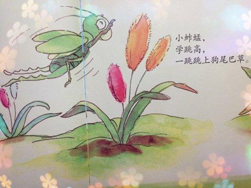 [转载]儿歌——小蚱蜢