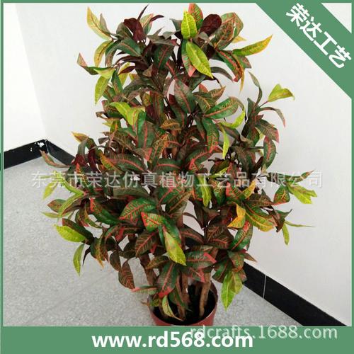 仿真变色龙盆景 仿真植物 室内墙上装饰 阳台摆放工艺品 批发