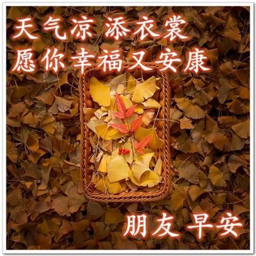 早安,周末!