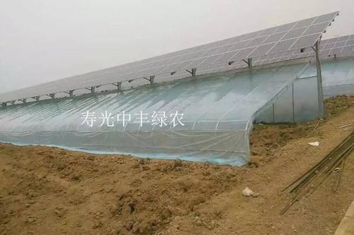 寿光中丰绿农 定制光伏太阳能大棚 蔬菜大棚 温室大棚