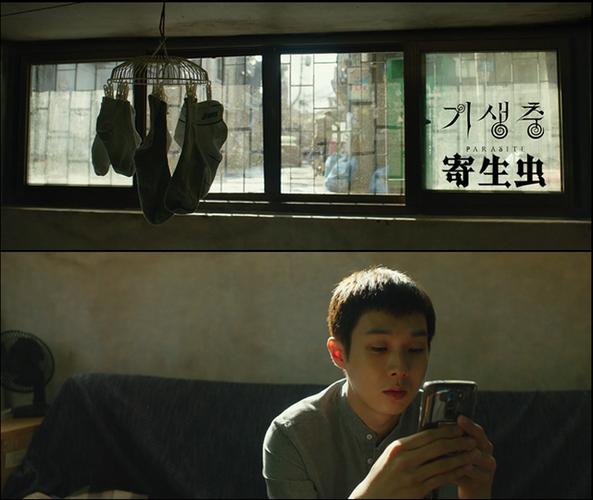 1 《寄生虫》是由奉俊昊执导的一部剧情片,于2019年5月在韩国上映