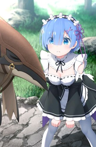 [美图搬运工] 蕾姆专题