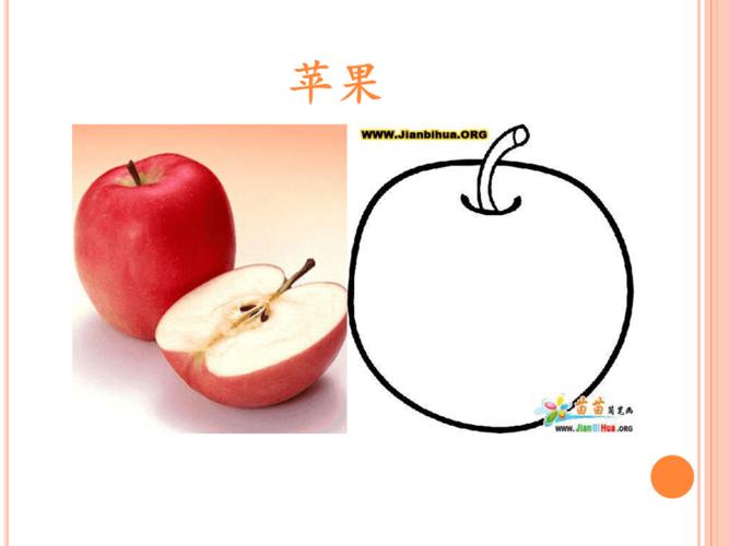 教学简笔画水果