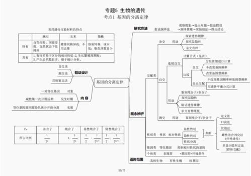 学霸脑图高考生物必修二知识框架汇总附电子版