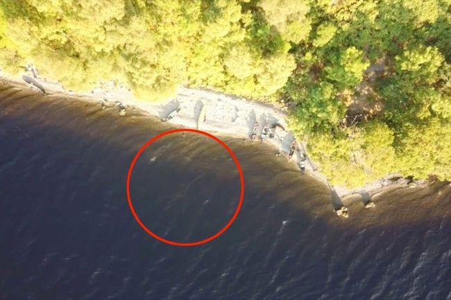 惊现"尼斯湖水怪"!无人机拍下神秘画面