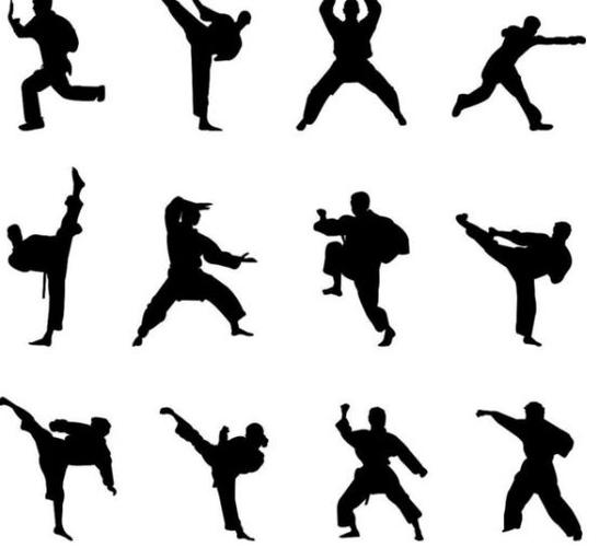 散打冠军马振山谈武术精神:发扬传统,强健体魄