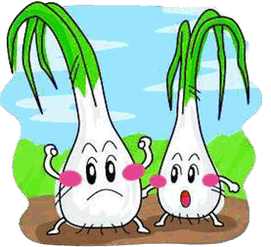 儿童画种蒜苗手抄报 儿童手抄报