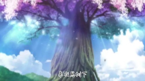 狐妖小红娘中的苦情树现实中真存在?它背后的故事让人