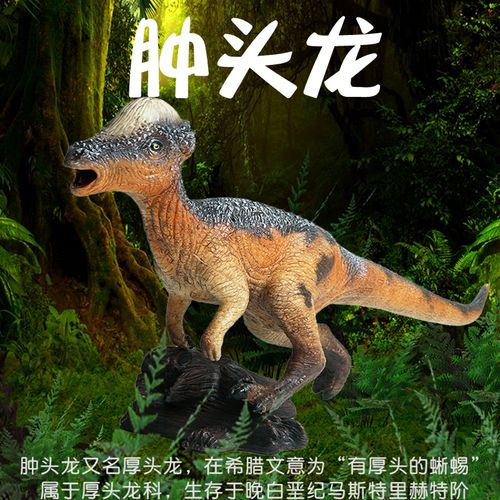 4仿真恐龙玩具肿头龙模型儿童大号软胶塑胶软体撞墙龙冥河龙厚头龙