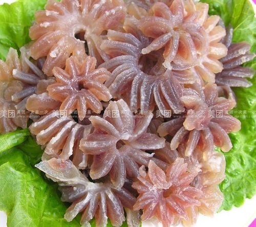 牛鞭花