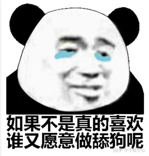 从备胎到舔狗我们的爱情为什么越谈越卑微