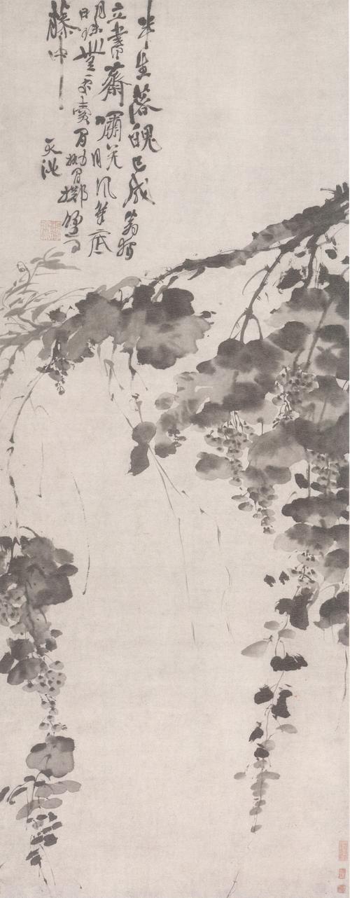 明  徐渭  墨葡萄图  纸本墨笔  纵116.