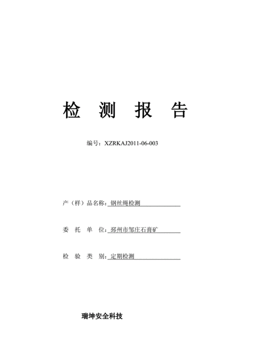 钢丝绳检测报告.doc 6页