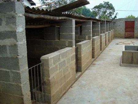 农村小型养猪舍图片