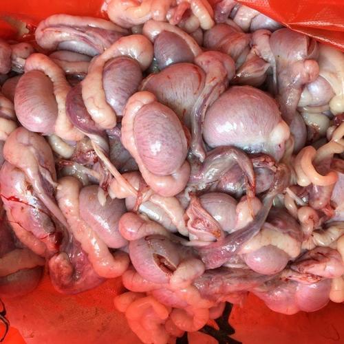 小猪睾丸无花肠小猪蛋小猪宝猪肾猪丸猪外腰猪蛋蛋当天摘取隔天发