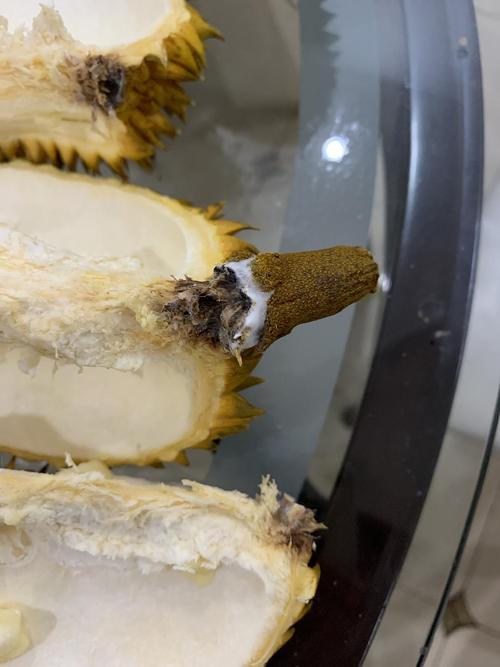 网上买的榴莲坏了,卖家借口说是软糯不售后